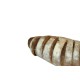 Malt Ekmeği Malt Ekmeği